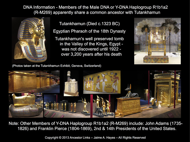 Tutankhamun (King Tut) and Y-DNA Haplogroup R1b1a2 (R-M269)