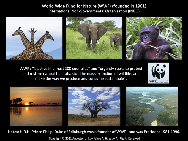 World Wide Fund for Nature (WWF)